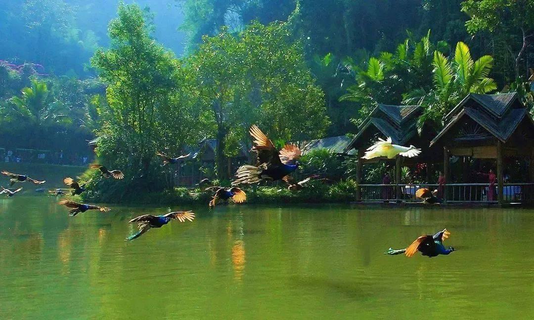 卫河之辉-卫辉市各乡镇名称的来历