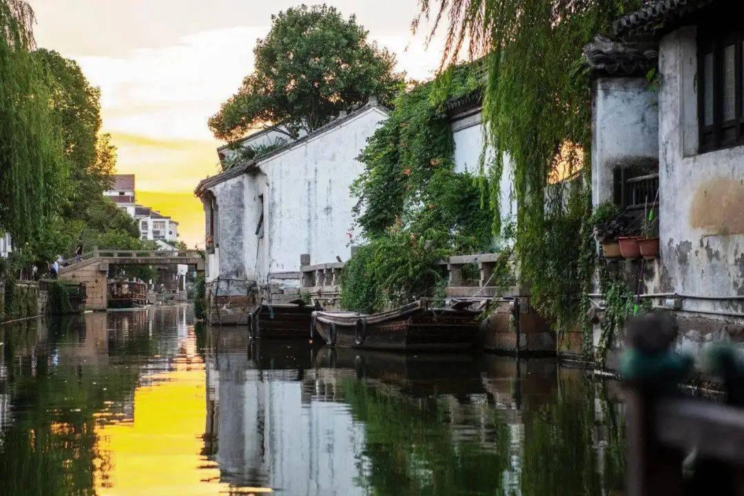 玉溪市政协主席李劲松:高位统筹 协同发力 开展农业面源污染防控攻坚行动
